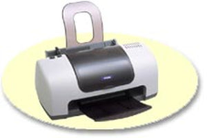 Epson Stylus C44 printer